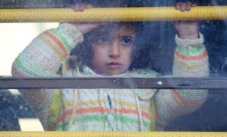 Kryqi i Kuq: Lufta në Aleppo zhvendos 50 mijë njerëz