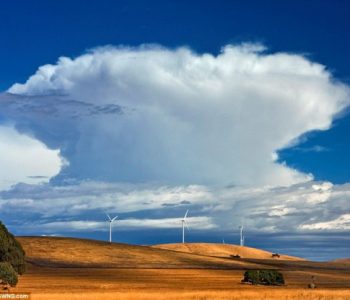 Zoti nuk i ka krijuar fetë