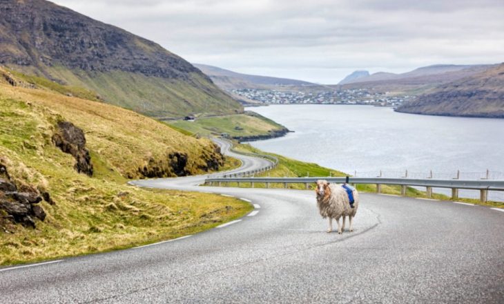 Delet zëvendësojnë Google-n në Ishujt Faroe