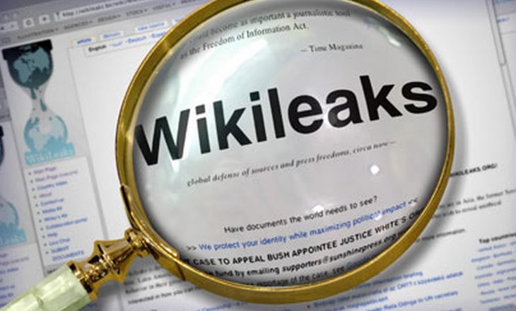 Të durohet Wikileaks