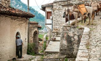 Çfarë mund të mësojë bota nga mikëpritja shqiptare