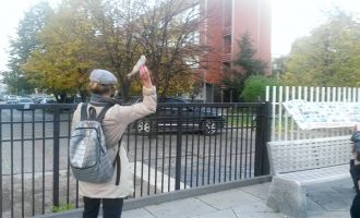 Oborri i Qeverisë mbushet me peshk të ngordhur