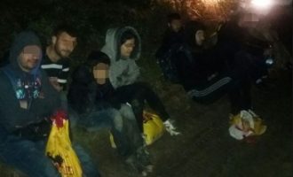 Pas Hungarisë, Rumania në hall me emigrantët kosovarë