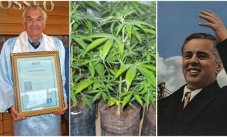 Lulëzimi i marihuanës në kohën e Enver Hoxhës