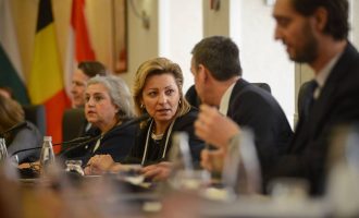 BE-ja sqaron se Apostolova u përkthye keq për Asociacionin