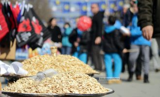 Shitësit e farave përfitojnë nga përvjetori i pavarësisë