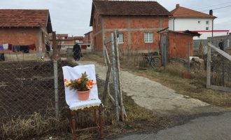 Kryeshnosh për terroristin