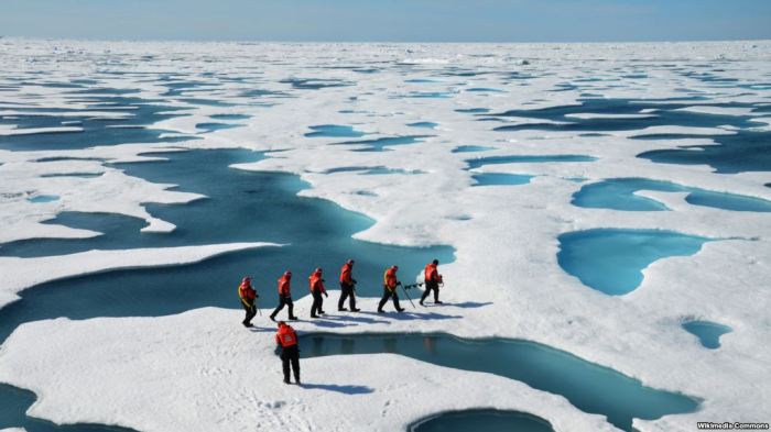 Bie në nivel rekord sasia e akullit në Arktik