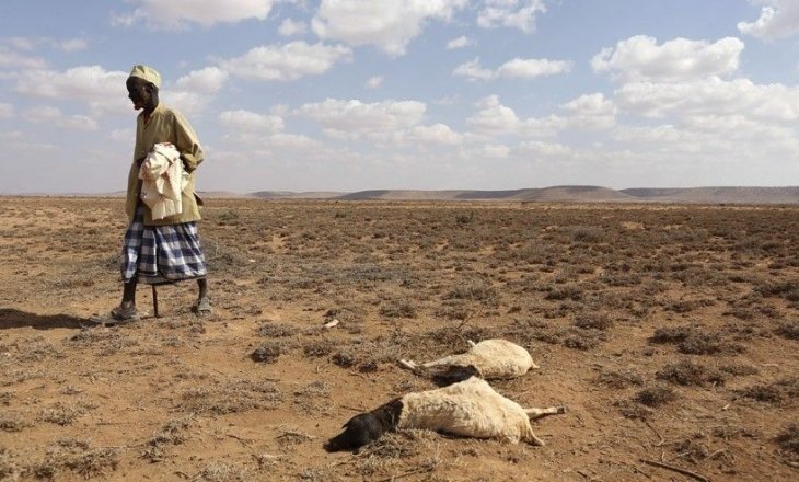 110 persona vdesin nga uria për dy ditë në Somali