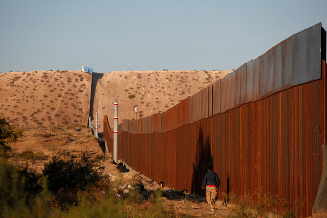 Për ndërtimin e murit të Meksikës aplikojnë biznesmen me prejardhje meksikane
