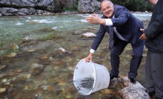 Kur PDK-ja e quante Kelmendin “intelektual me vizion” për zhvillim ekonomik