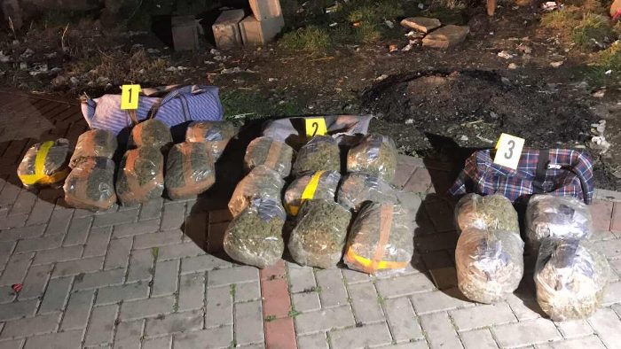 Policia arreston pesë persona, konfiskon 80 kg marihuanë