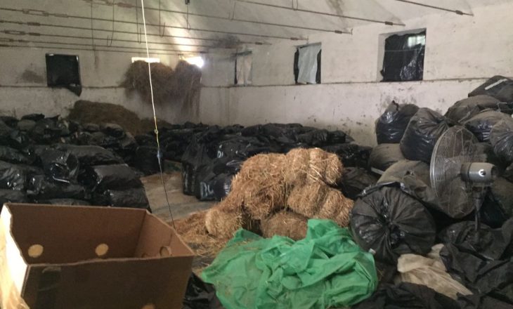 Në Shqipëri zbulohet magazinë me drogë