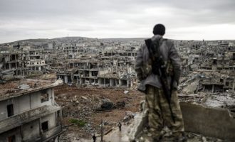 Me apo pa armë kimike, Siria po shuhet