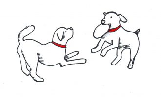 Ministrja kosovare e cila admiron qenin e saj