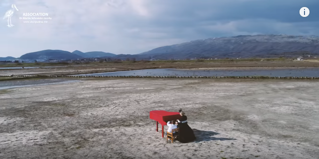 Artistët shqiptarë projekt për ta shpëtuar “Kriporen e Ulqinit”