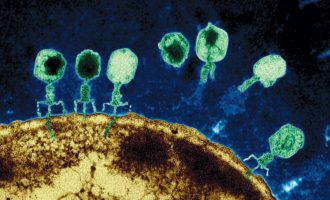 Viruset gjigante që po presin të çlirohen