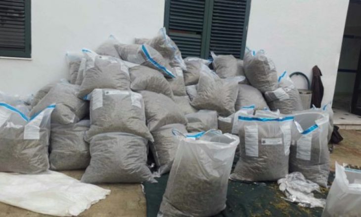 Në Kavajë gjendën mbi 152 kilogramë kanabis