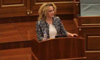 Deputetja e VV-së: Sulmet ndaj figurave publike i shkojnë për shtati pushtetit  