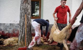 Therje delesh për një festë që bashkon të gjitha fetë në Kosovë