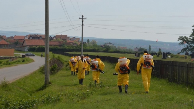 Nis spërkatja e rriqrave në Malishevë