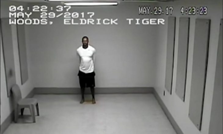 Woods shtrohet në një qendër rehabilitimi pas problemeve me mjekim