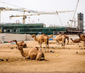 Katari në shënjestër të vendeve të Gjirit