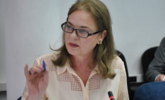 Besa Gaxherri: Avdullah Hoti dhe Hashim Thaçi duhet të funksionojnë bashkë