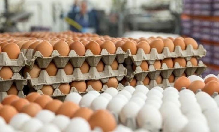 Shoqata e Shpezëtarëve proteston kundër importit të vezëve