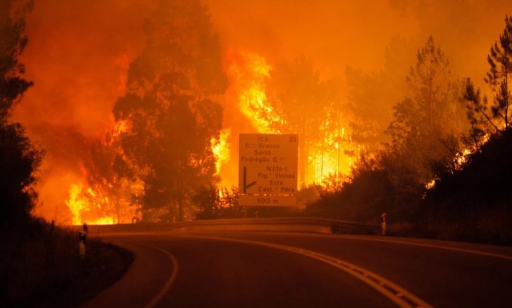 Mbi 60 persona të vdekur nga zjarri në Portugali