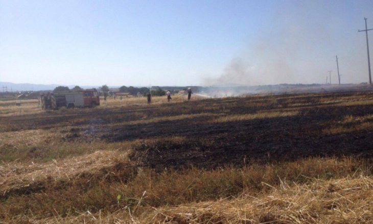 Traditat e bujqve kosovarë afër të shkaktojnë djegie të shtëpive