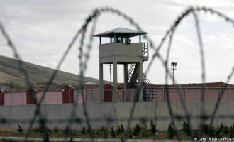 Jo viktimat e fundit…