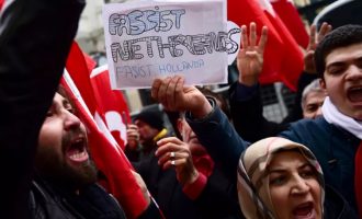 Elitat dhe vetëvrasja nga “diversiteti”