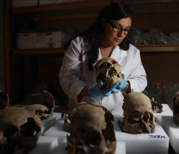 Zbulohet “kulla e kafkave”