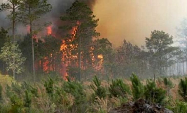 Katër vatra zjarri në Shqipëri