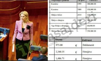 Mbi 1 milionë euro pasuri dhe kursime për fëmijë – ardhmëria e sigurtë e Deliu-Kodrës