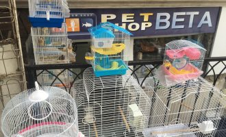 Pas raportimit të Insajderit, Petshopi heq kafshët nga kafazët e ekspozuar në diell