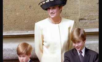 Princat William dhe Harry flasin për bisedën e fundit me nënën e tyre, Princeshën Diana