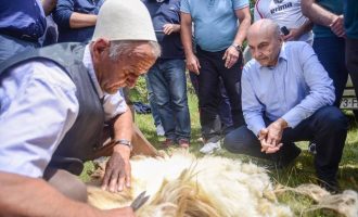 Mustafa krenohet me “qethjet e deleve”