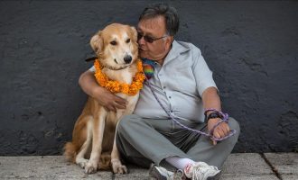 Miqësia e qenit me njeriun mund të jetë rezultat i ndryshimeve gjenetike