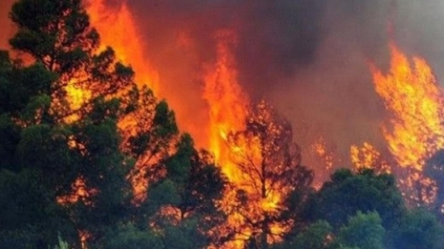 Zjarr në Malishevë, lëndohen dy persona