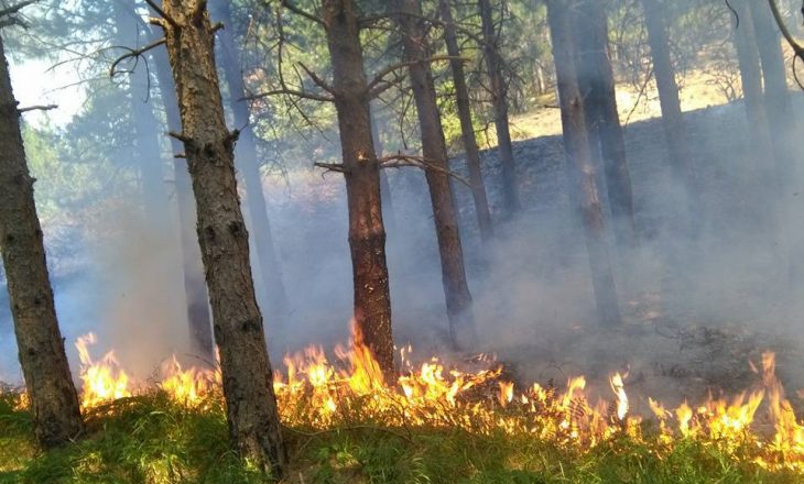 Eskalon zjarri në Librazhd – kërkohet ndërhyrje nga ajri