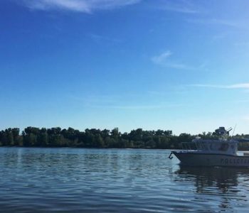 Mikroshteti Liberland mes Kroacisë e Serbisë