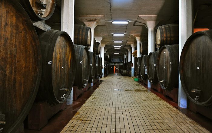 Prodhimtaria e rrushit dhe e verës, sektorë strategjikë të Kosovës
