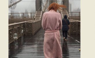 E gjitha është një tortë, apo një trëndafil i egër?