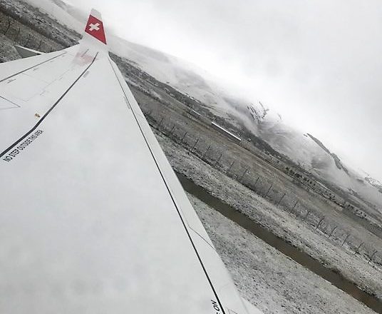 Paniku në Aeroportin e Prishtinës “erdhi pas një sulmi nga zogjtë”