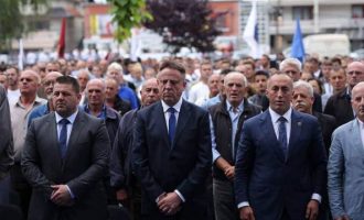 Selmanaj: Në Istog, përkrahje e fuqishme për Gani Dreshajn