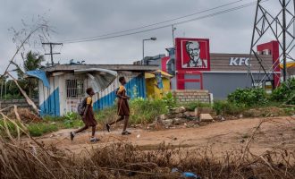 “Në fillim ishte orizi, tani erdhi KFC” – dyshime se ushqimi i KFC-së ndikon keq në shëndet