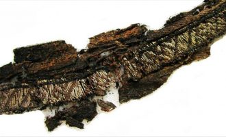 Zbulohen varre vikingësh në Suedi