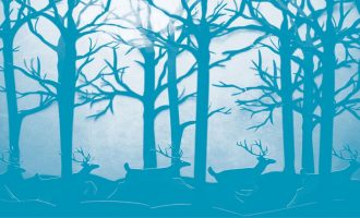 Tri animacione nga Kosova i bashkohen rrugëtimit në katër shtete